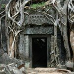 Tempelanlage Ta Prohm in Kambodscha - Hier wurde ein Teil des Filmes "Tomb Raider" gedreht